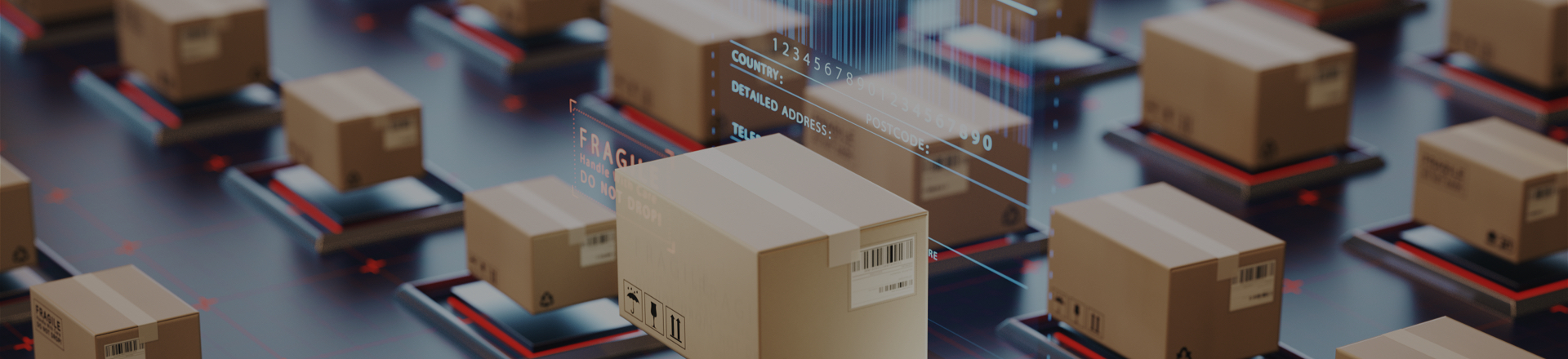 imformation-intro-image