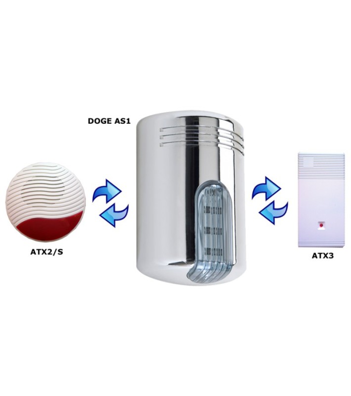 VENITEM DOGE AS1 IVORY VENITEM DOGE AS1 IVORY